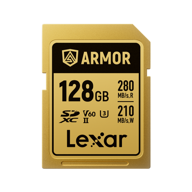 Lexar® ARMOR GOLD SDXC™ UHS-II Card Thypoch