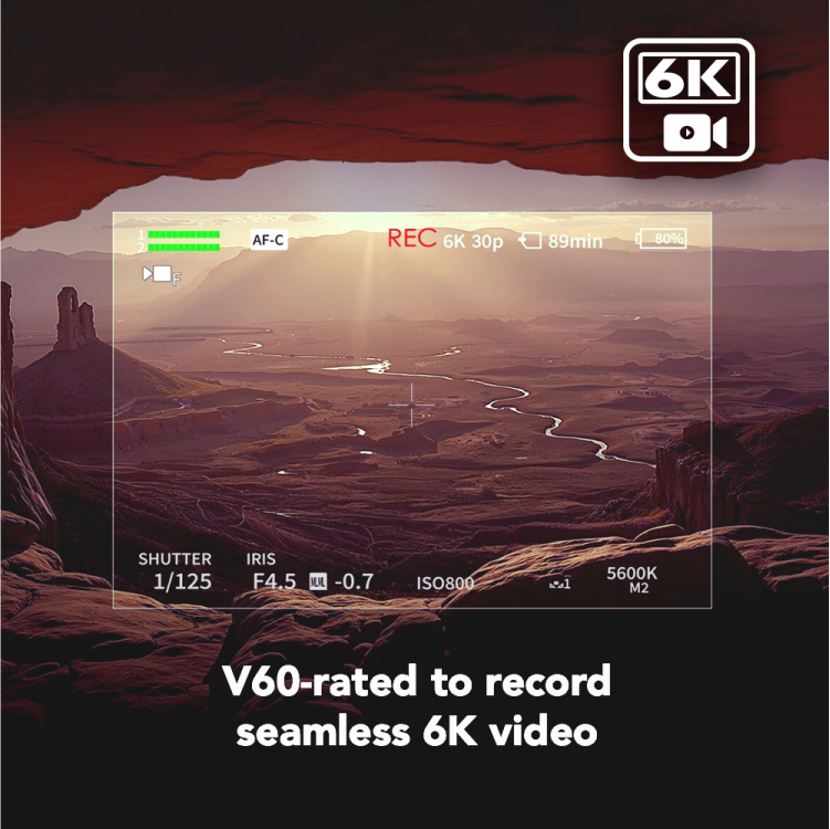 Lexar® ARMOR GOLD SDXC™ UHS-II Card Thypoch