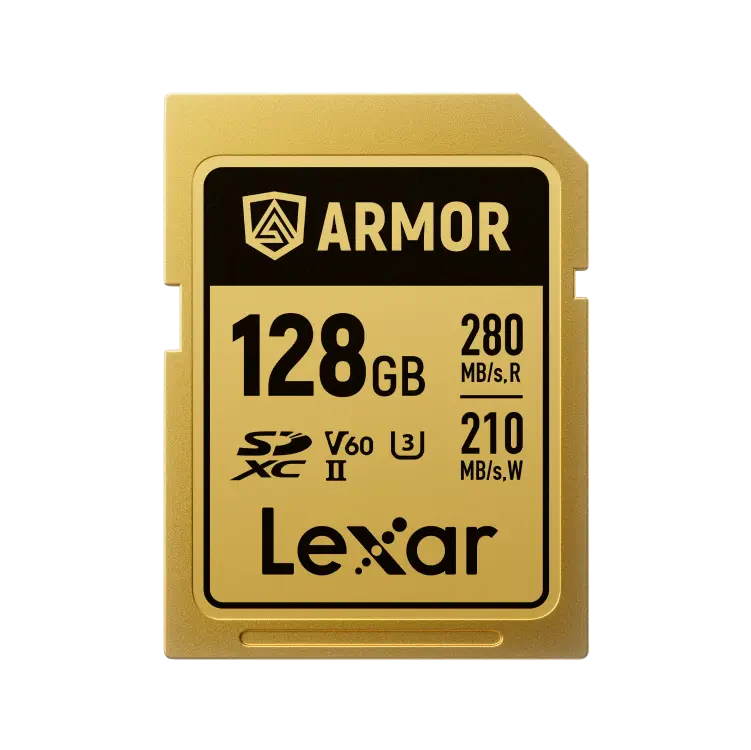 Lexar® ARMOR GOLD SDXC™ UHS-II Card Thypoch