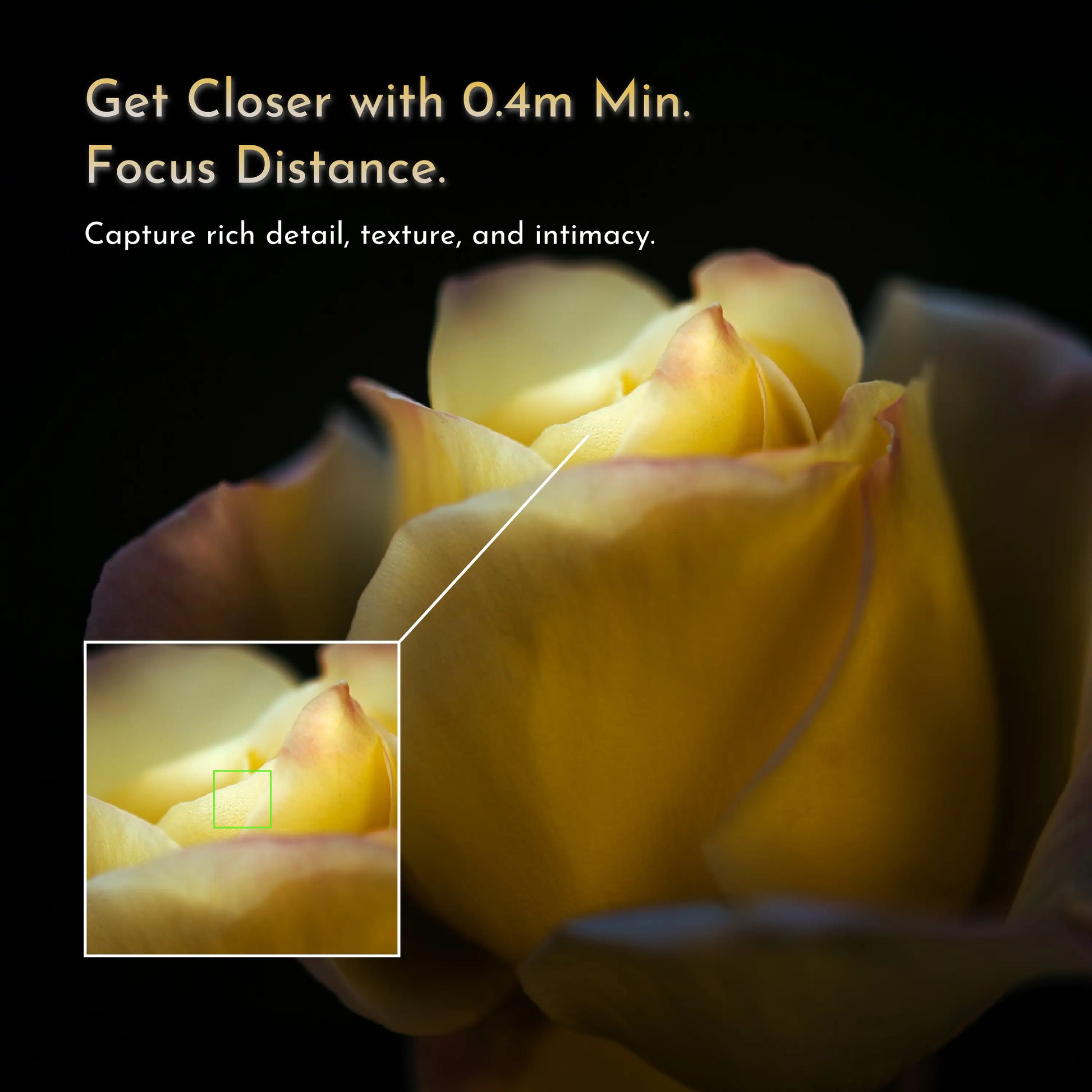 Simera 28mm f/1.4 manual camera lens close-up of yellow rose with 0.4m minimum focus distance showcasing detailed texture and bokeh for Fujifilm-X, Canon-RF, Sony-E, Nikon-Z, and Leica-M mounts